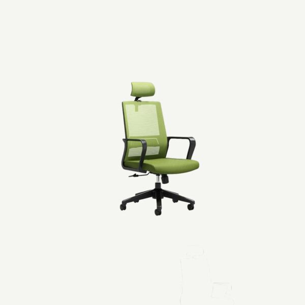 HIGH BACK MESH & FABRIC SEAT HEIGHT ADJUSTABLE/FIXED PP ARMRESTGREEN-MG-WB-019-A1-BK