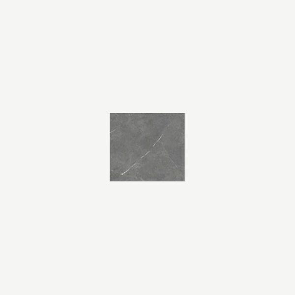 Tile Rectified Ailpro Gris Polished 600mm X 600mm 4Pcs/Box